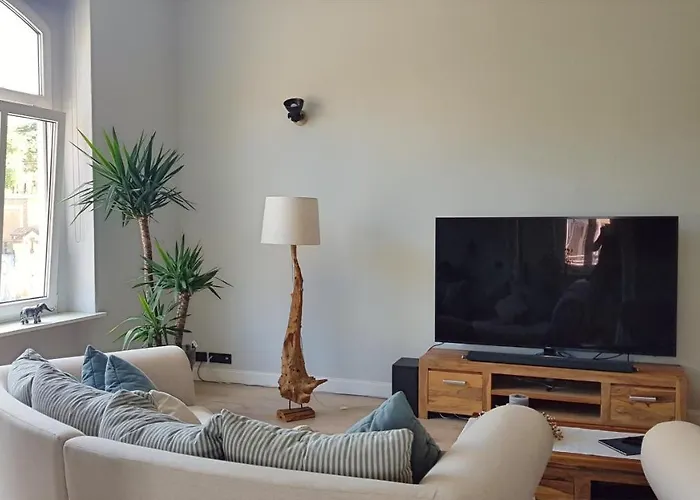 Andres Deluxe * Cottbus